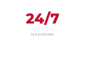 24/7 Support