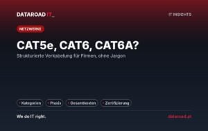 Geordneter Verkabelung CAT5e, CAT6 oder CAT6A: Leitfaden für Unternehmen zur Geschwindigkeit, Distanz und Zertifizierung — DataRoad