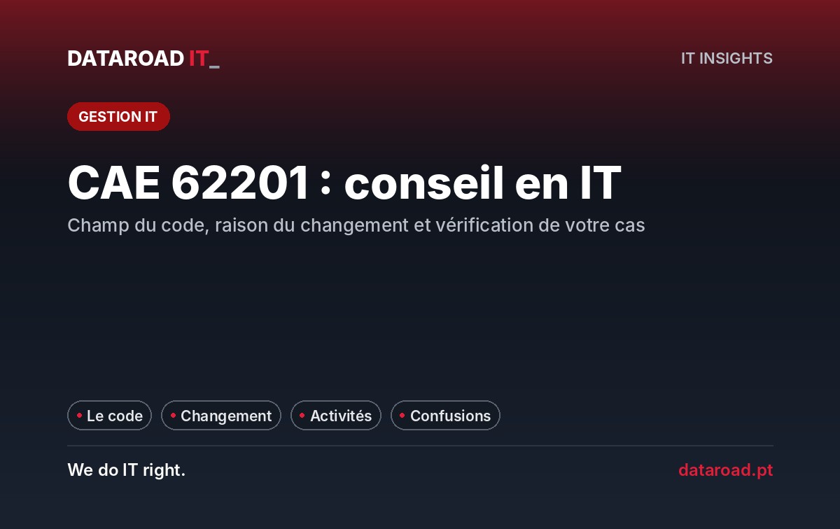 CAE 62201 : conseil en informatique : ce qui est couvert, pourquoi il a changé et comment le vérifier — DataRoad